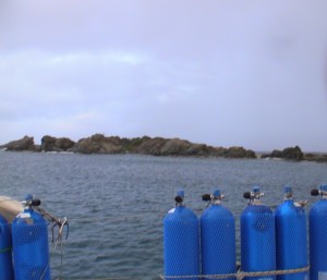 Sun comes out for a final swim